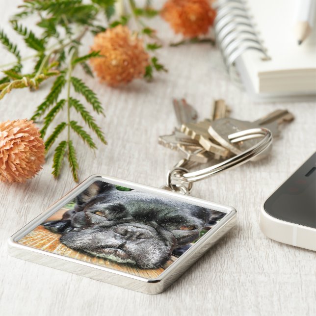 Fransk bulldogg fyrkantig silverfärgad nyckelring (Sidan)