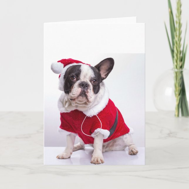 Fransk bulldogg i den Santa dräkten för jul Helgkort (Framsida)