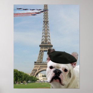Fransk bulldogg i Paris Poster