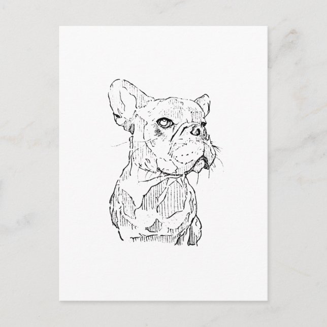 Fransk Bulldogg Illustration, Personlig Vykort (Framsida)