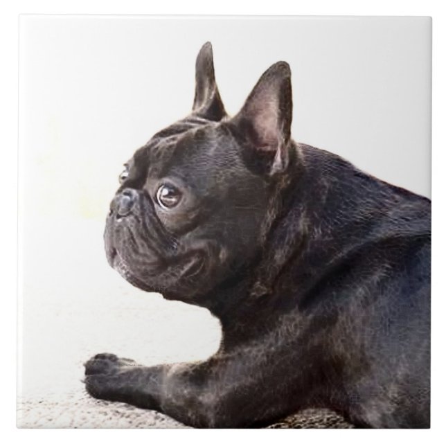 Fransk bulldogg kakelplatta (Framsidan)