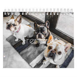 Fransk bulldogg kalender