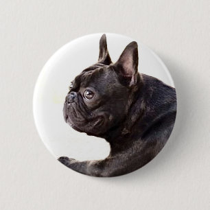 Fransk bulldogg knapp