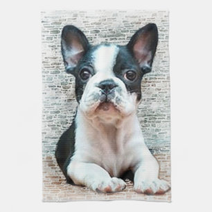 Fransk bulldogg kökshandduk