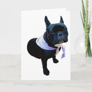 Fransk bulldogg kort