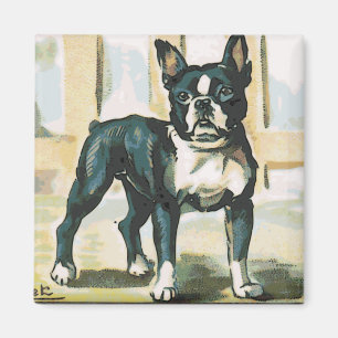 Fransk bulldogg magnet