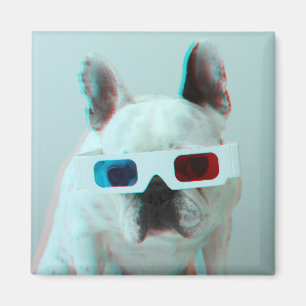Fransk bulldogg med exponeringsglas 3D Magnet