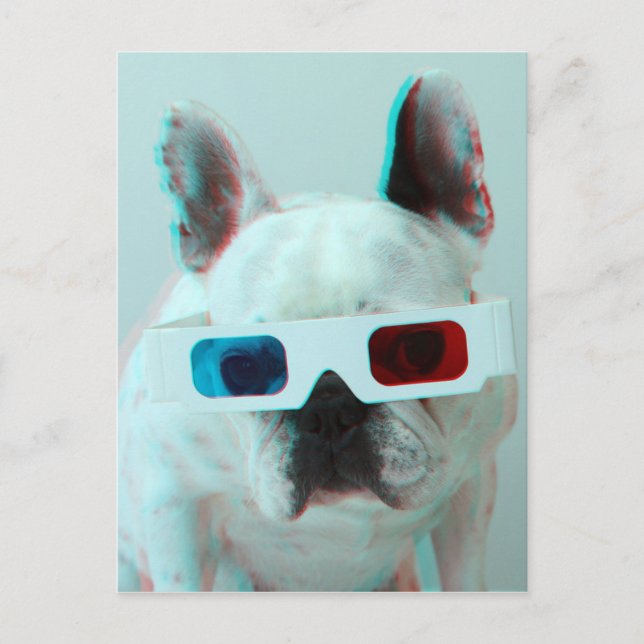 Fransk bulldogg med exponeringsglas 3D Vykort (Framsida)