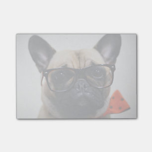 Fransk bulldogg med exponeringsglas och flugan post-it block