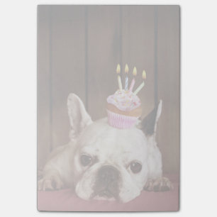 Fransk bulldogg med födelsedagmuffin post-it block