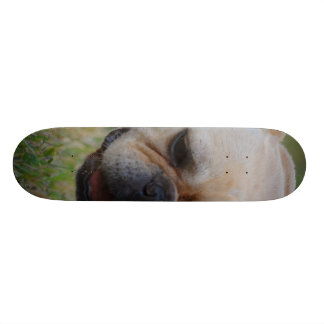 Fransk bulldogg mini skateboard bräda 18,5 cm