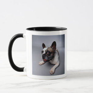 Fransk bulldogg mugg