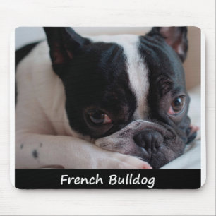 Fransk bulldogg musmatta