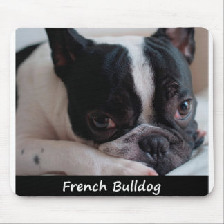 Fransk bulldogg musmatta