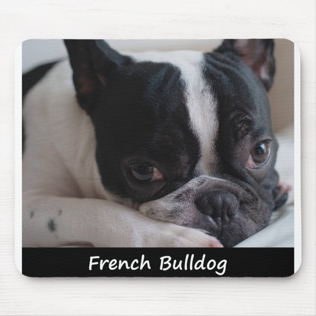 Fransk bulldogg musmatta (Framsidan)
