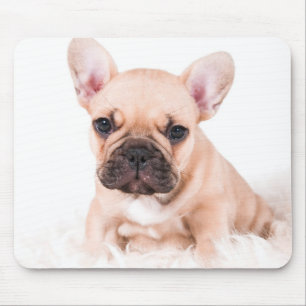 Fransk bulldogg musmatta
