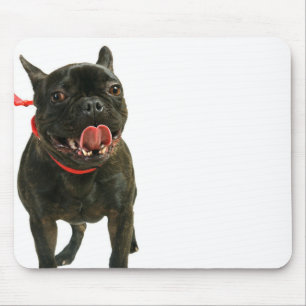 Fransk bulldogg musmatta