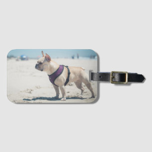 Fransk bulldogg på strand bagagebricka