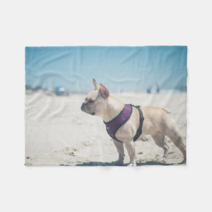 Fransk bulldogg på strand fleecefilt