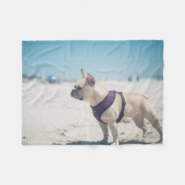 Fransk bulldogg på strand fleecefilt (Framsidan (Horisontell))