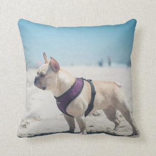 Fransk bulldogg på strand kudde