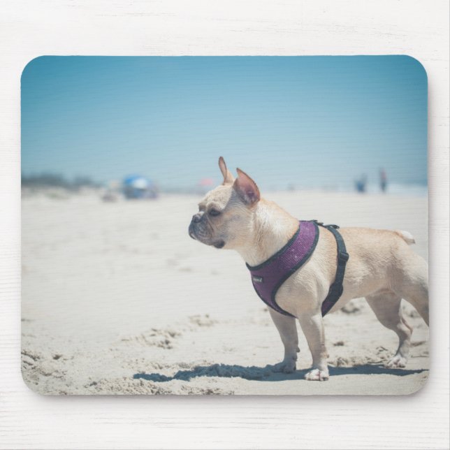 Fransk bulldogg på strand musmatta (Framsidan)