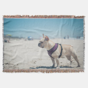 Fransk bulldogg på strand mysfilt