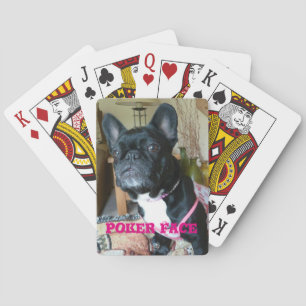 Fransk bulldogg "pokeransikte" som leker kort casinokort