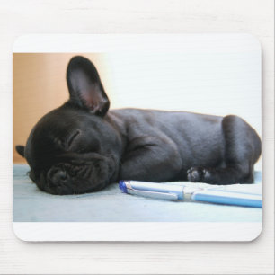 fransk bulldogg puppy.png musmatta