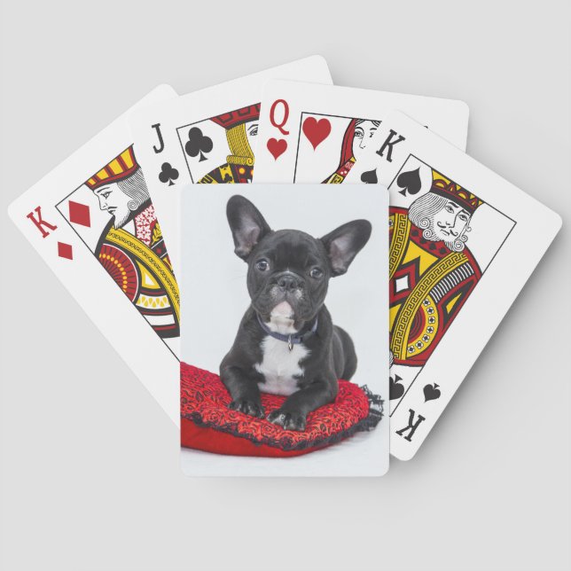 Fransk bulldogg som leker kort casinokort (Baksidan)