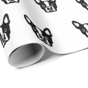 Fransk bulldogg som slår in papper presentpapper