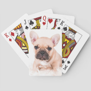 Fransk bulldogg spel kort