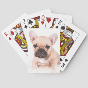 Fransk bulldogg spel kort