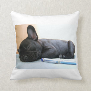 fransk bulldogg valp.png kudde