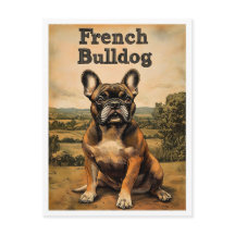 Fransk Bulldogg Vintage Konst
