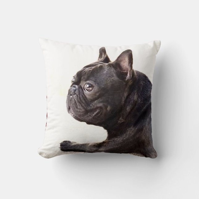 Fransk bulldoggamerikan Mojo Kudde (Framsida)