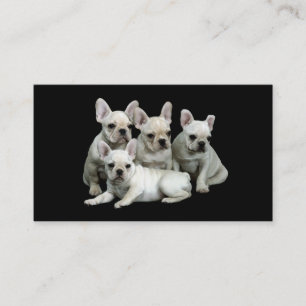 Fransk bulldoggavelsdjurvisitkort visitkort