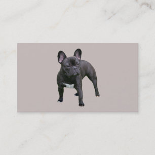 Fransk bulldoggavelsdjurvisitkort visitkort