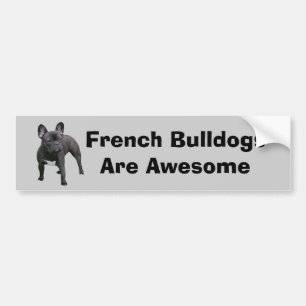 Fransk bulldoggbildekal bildekal
