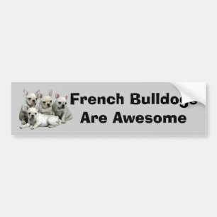 Fransk bulldoggbildekal bildekal