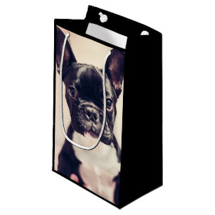 Fransk bulldogggiftbag