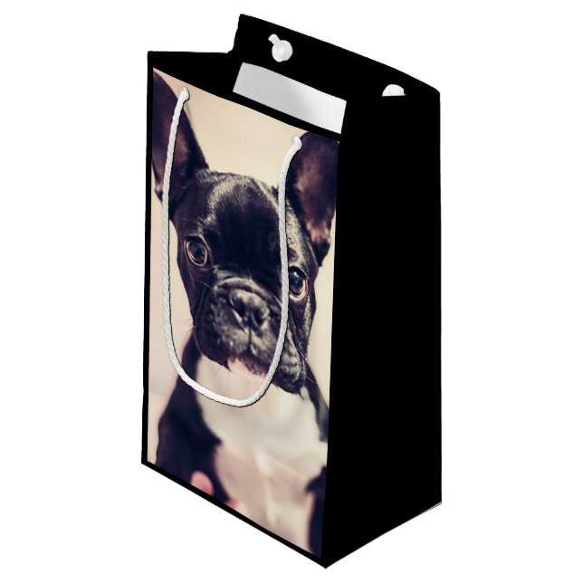 Fransk bulldogggiftbag (Framsidan Vinklad)