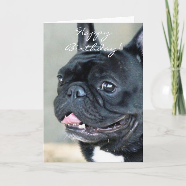 Fransk bulldogghund för födelsedag kort (Framsida)