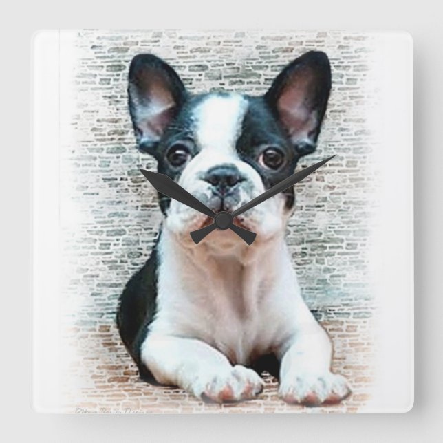 Fransk bulldogghund fyrkantig klocka (Framsida)