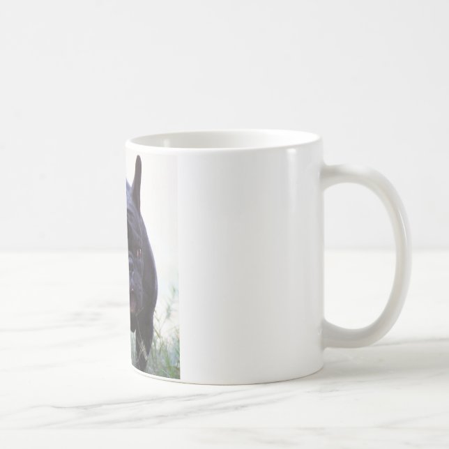 Fransk bulldogghund kaffemugg (Höger)