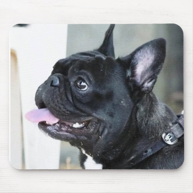 Fransk bulldogghund musmatta (Framsidan)