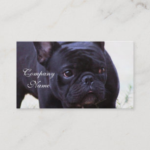 Fransk bulldogghund visitkort