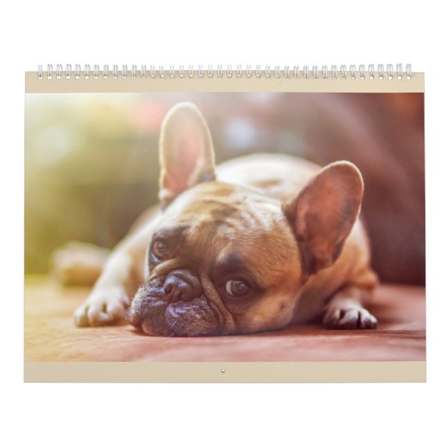 Fransk bulldoggkalender kalender (Omslag)