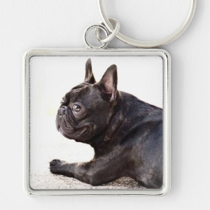 Fransk bulldoggkeychain fyrkantig silverfärgad nyckelring