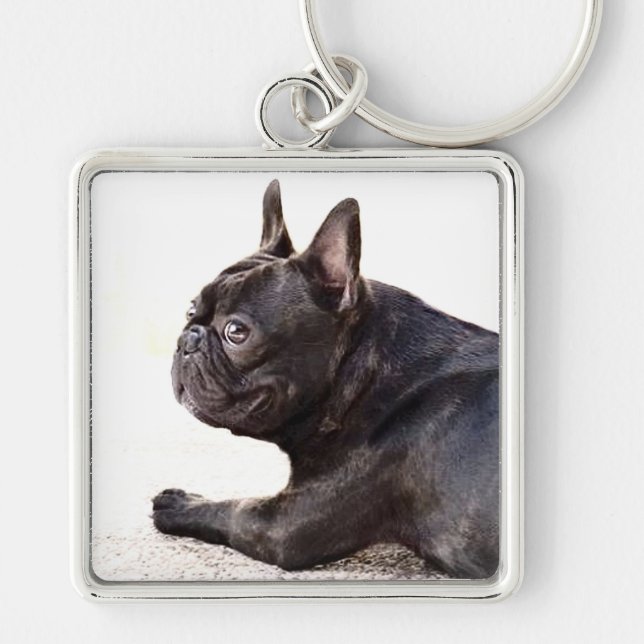 Fransk bulldoggkeychain fyrkantig silverfärgad nyckelring (Framsidan)